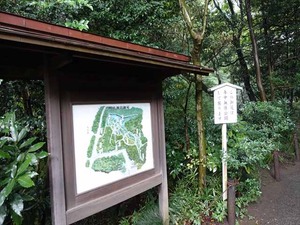 DSC02442_R