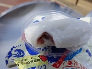 DSC09730_R