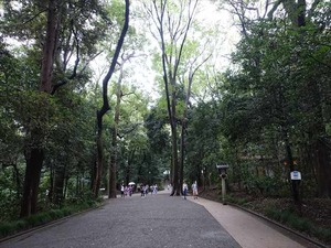 DSC02484_R