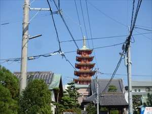 DSC00081_R