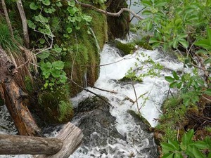 DSC00738_R