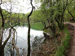 DSC00765_R