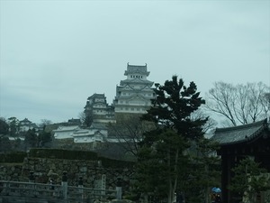 DSC08794_R