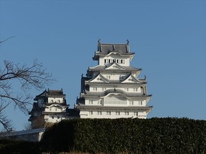 DSC01184_R