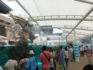 DSC07792_R