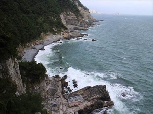 IMG_9865_R