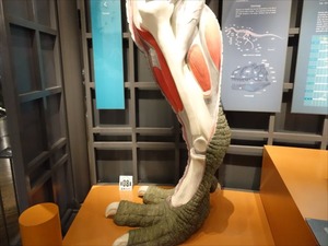 DSC04984_R