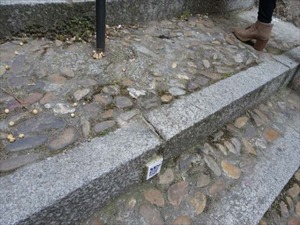 DSC03965_R