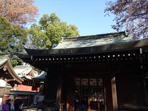 DSC04635_R