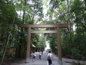 DSC07377_R