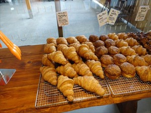 DSC02017_R