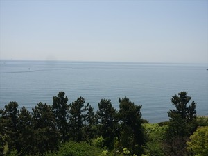 DSC05680_R