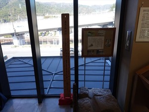 DSC03499_R