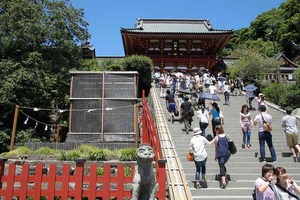 IMG_6501