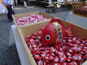 DSC04639_R
