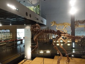 DSC04990_R