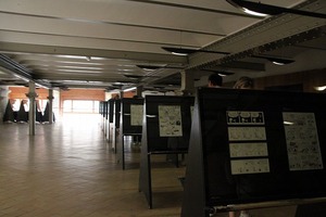IMG_6590