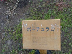 DSC07223_R