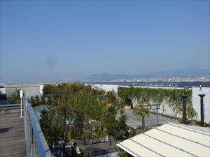 DSC00496_R