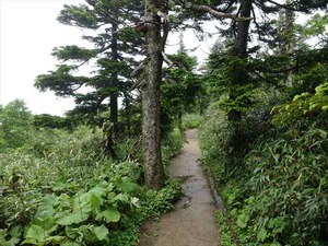 DSC06452_R