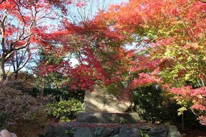 IMG_9016