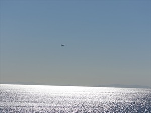 DSC07531_R