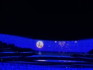 DSC01935_R