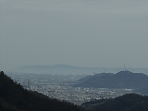DSC08785_R
