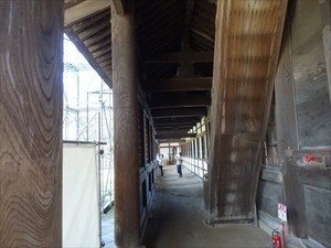DSC01388_R