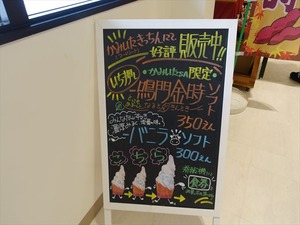 DSC09041_R