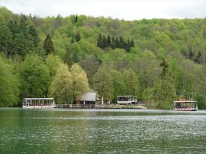 DSC00709_R