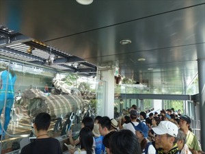 DSC07802_R