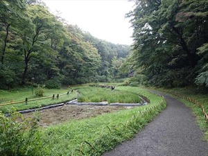 DSC02446_R