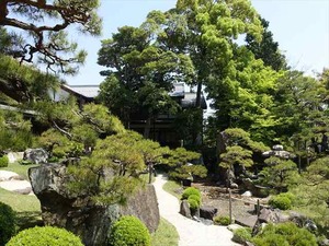 DSC05246_R