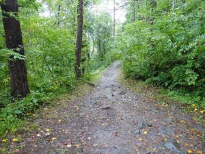 DSC08695_R