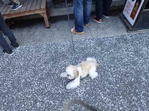 DSC05644_R