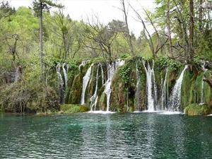 DSC00756_R