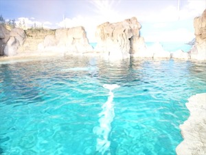 DSC03498_R