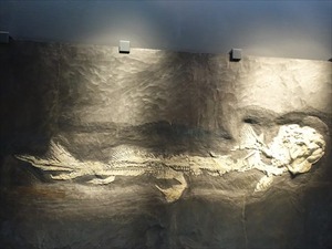 DSC04967_R