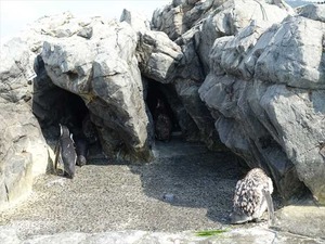 DSC05693_R