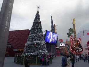 DSC07449_R