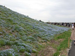 DSC00147_R