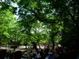 posamu4299158