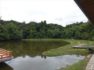 DSC07308_R