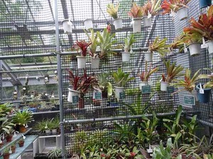 DSC09423_R