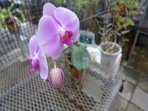 DSC09437_R