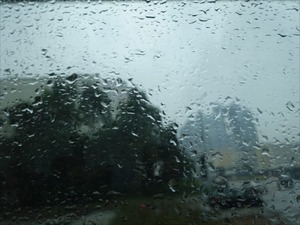 DSC02913_R