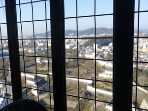 DSC01270_R