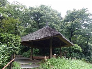 DSC02449_R