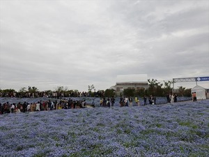 DSC00204_R